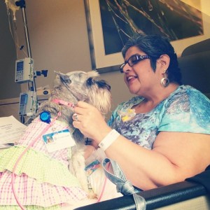 Mom visiting with a pet therapy dog named Ella on her first day of treatment June 2014